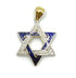 14K Gold & Diamond With Blue Enamel Star of David Necklace